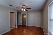 Photo #8